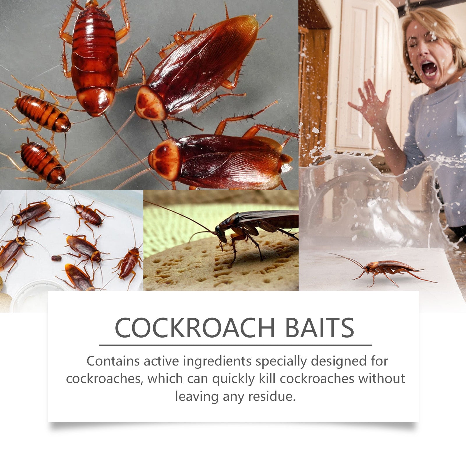 Cockroach Bait, Cockroach Home Type Effective Cockroach Kill Kitchen Cockroach Paste Cockroach Kill Glue Bait