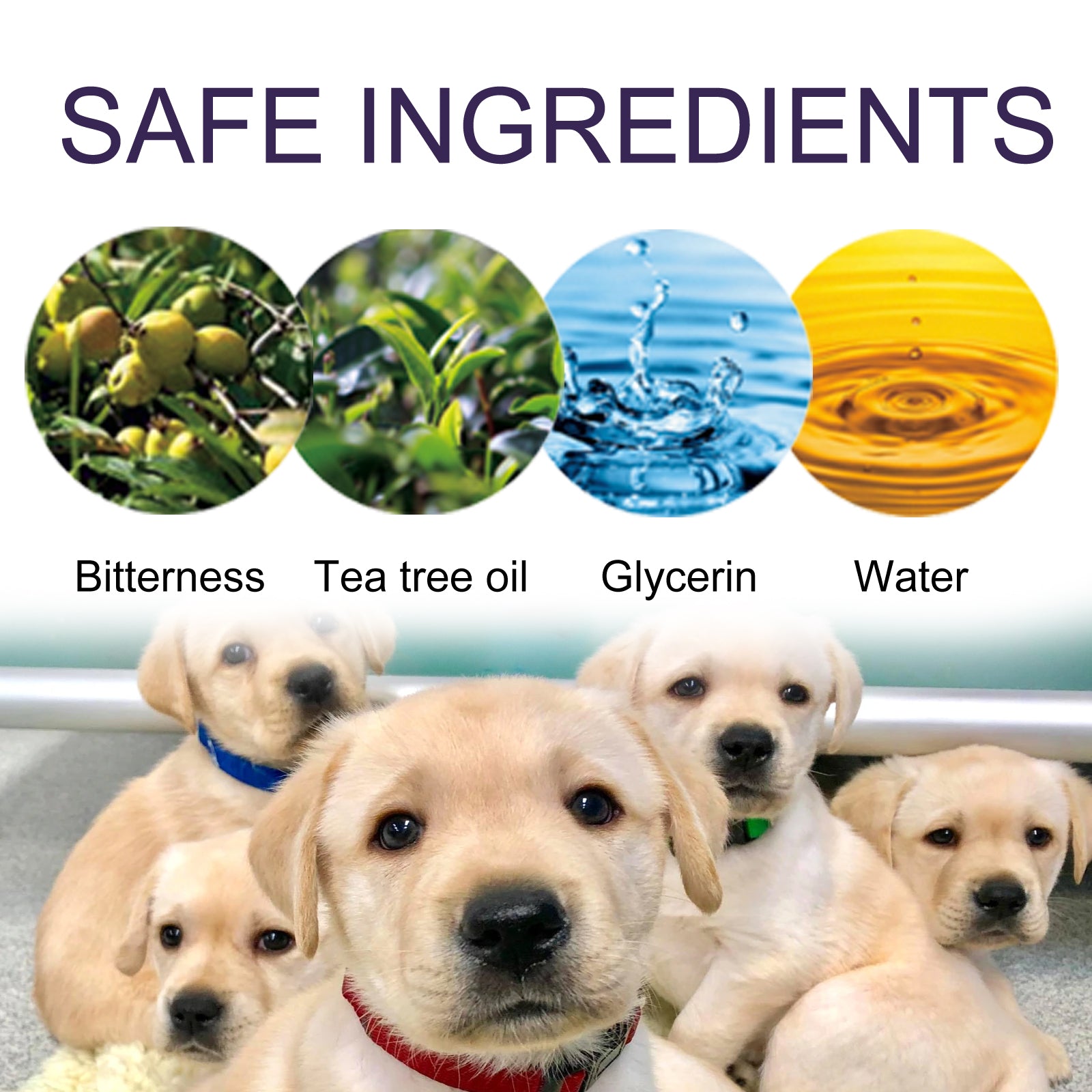 Anti-Chewing Bitter Spray For Pets, Prevent Dogs Tearing Apart Homes Scratching And Biting Long-Lasting Indoor Repellent Spray