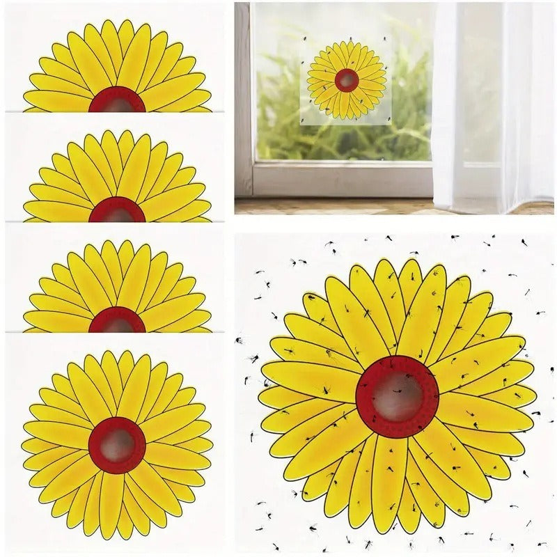 Window Fruit Fly Traps with Strong Stickiness Indoor use Sunflower Window Fly Stickers
