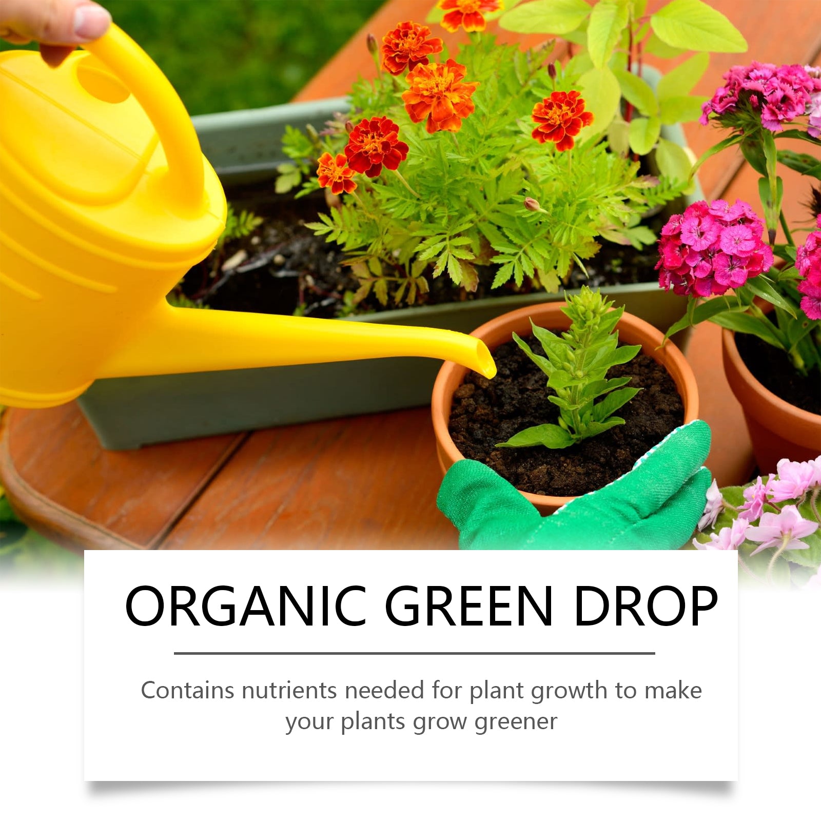 Plant growth Solution potted green leaf lawn flower plant hair root supplement fertilizer nutrient solution